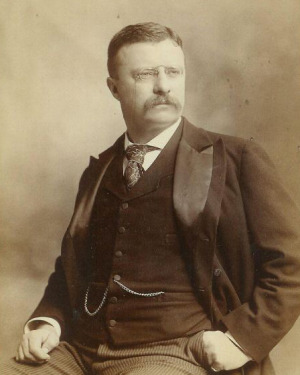 Portrait de Theodore Roosevelt (1858 - 1919)
