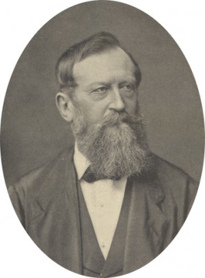 Portrait de Gustav von Schulthess-Rechberg (1815 - 1891)