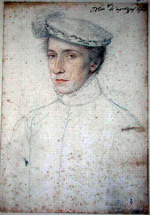 Portrait de Charles de Luxembourg (1527 - 1553)