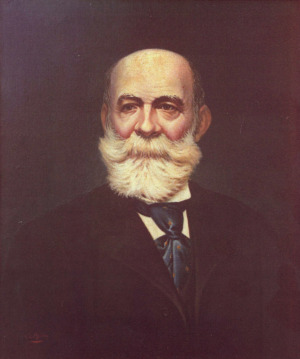 Portrait de Octave Montrelay (1834 - 1908)