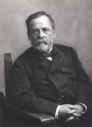 Portrait de Louis Pasteur (1822 - 1895)