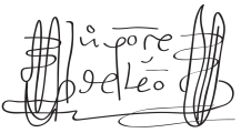 Signature of Juan Ponce de León y Figueroa (1461 - 1521)